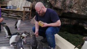 Steve Holyer feeding penguins